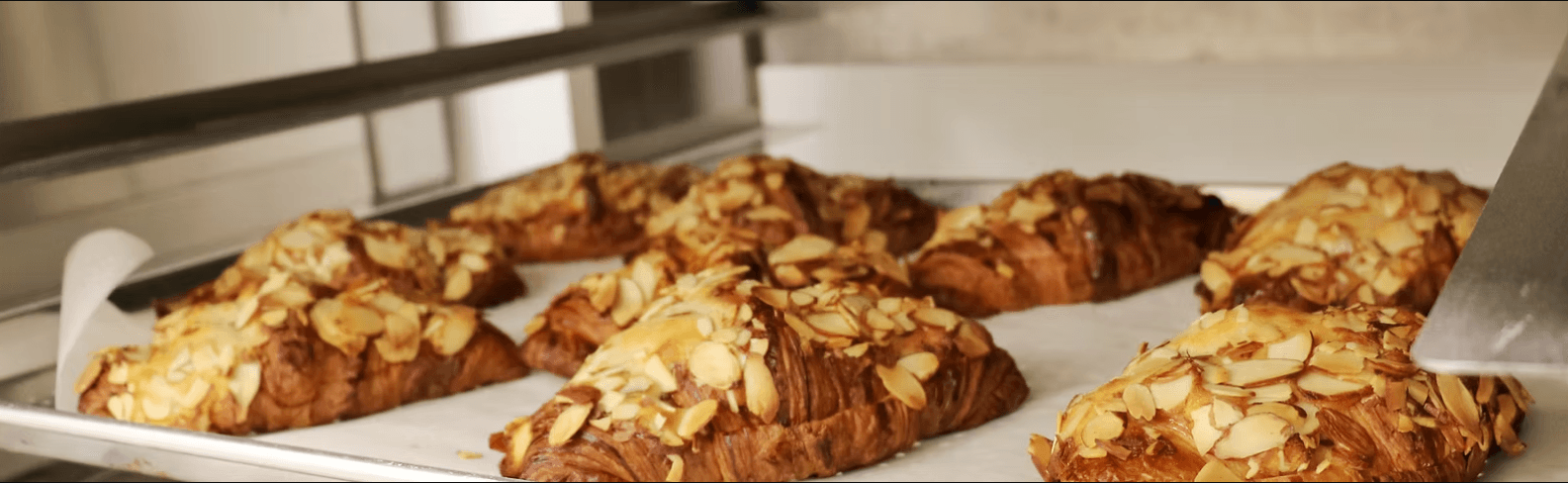 Minot's Daily Bread bakery